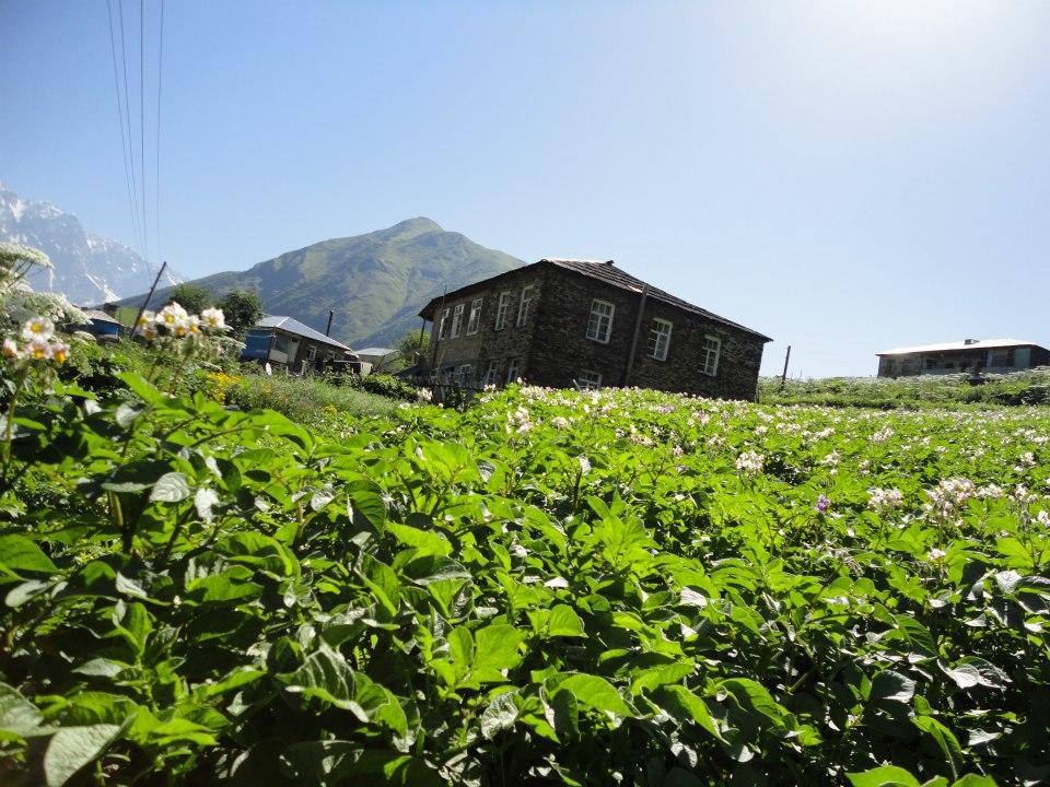 Caucasus Guesthouse Ushguli Extérieur photo